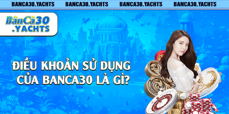 Điều khoản sử dụng của Banca30 là gì?